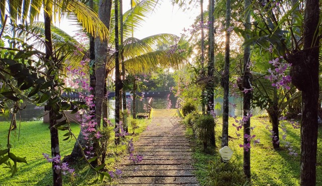Palmgrove Lake Resort
