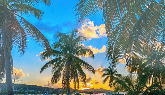 Palms Trees & Oceanfront Condo: FAB Reviews -So Cozy 2BD-2Bath,Deck,Pool & WiFi