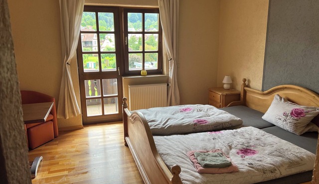 Panorama apartment with balcony at Landhaus Magnus