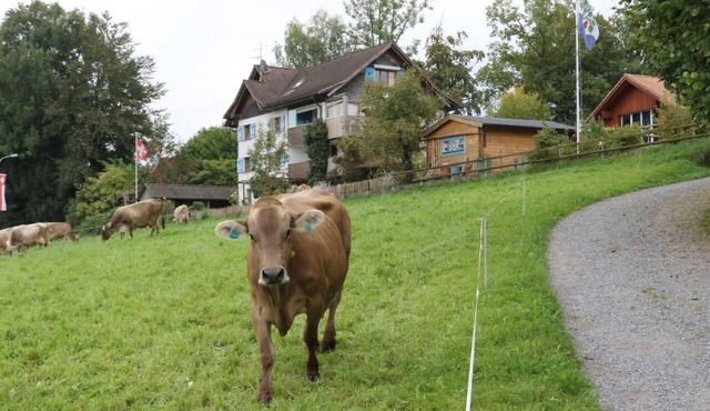 Panorama Blick by Interhome