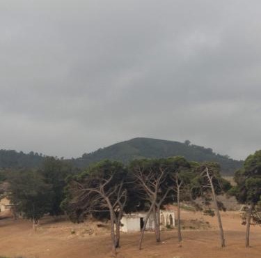 Panorama M'diq