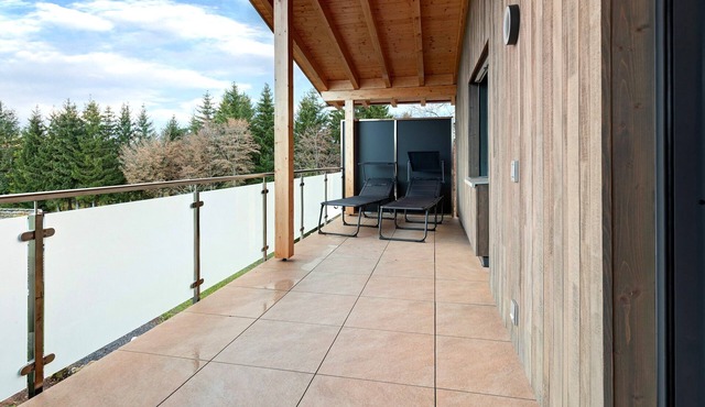 Panorama Suite Apartment with Balcony, Grill Hut and Infrared Cabin