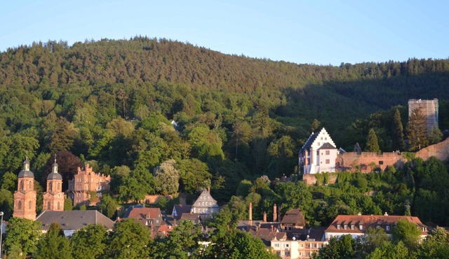 Panorama view Miltenberg, 3 pers., central, on the Main, terrace, boat rental, P