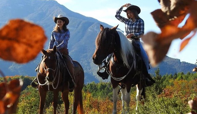 Panoramic 2-Hour Horseback Ride on Monte Gaggio (Intermediate)