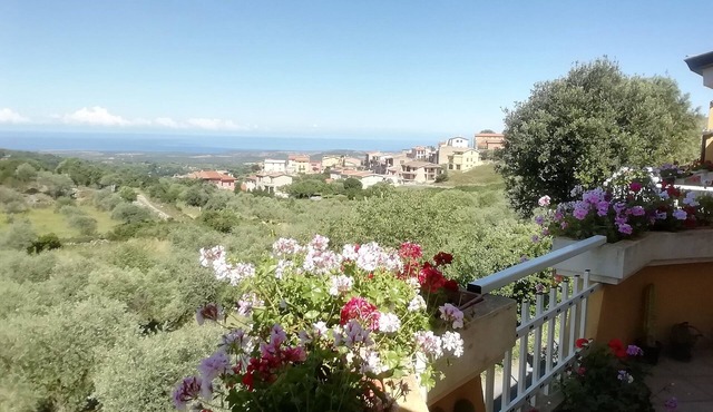 Panoramic Appartment