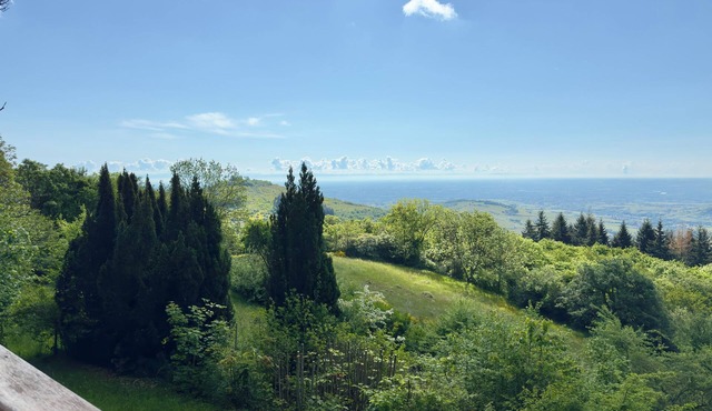 Panoramic Chalet