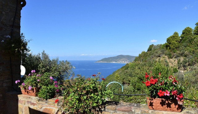 Panoramic farmhouse in Cilento