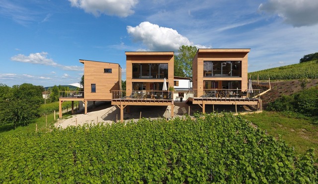 Panoramic hotel-hostel. Your Oenological stay in a wine village.