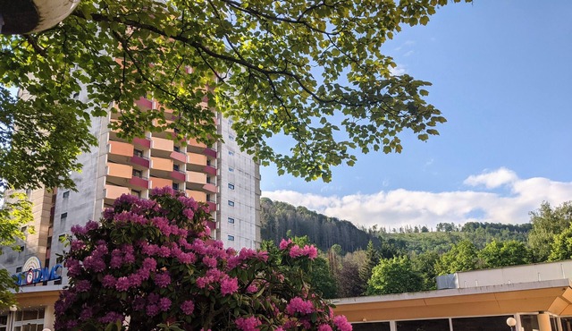 Panoramic - Ihr Apartmenthotel im Harz