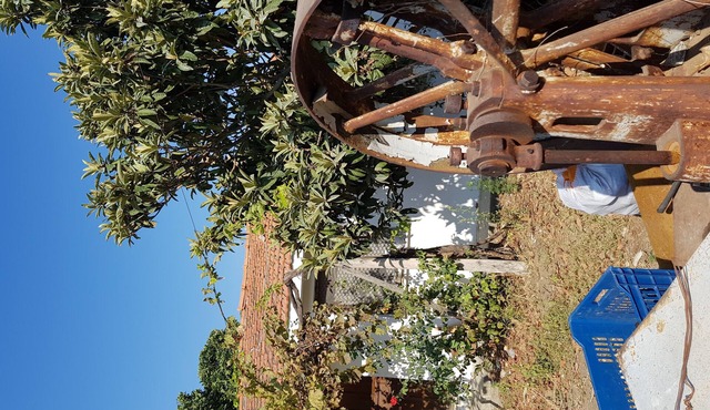 Panoramic nature dwellings with pine forest, olive valleys, sea and gre