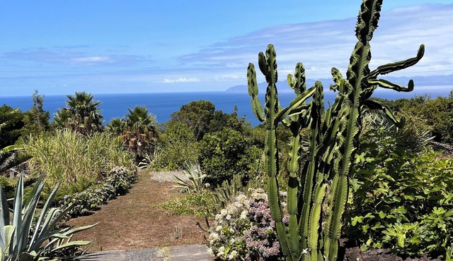 Panoramic Ocean Views from your Private Varand