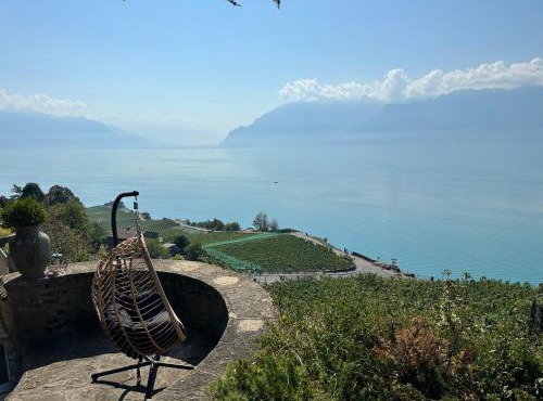 Panoramic Room in the vineyard,stunning views of lake and Alps