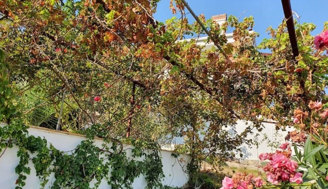 Panoramic Seaview Villa in Bodrum Turkey