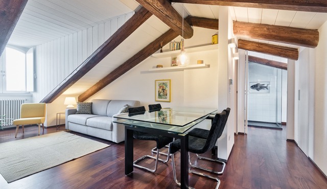 Panoramic skylight apartment. Private car parking, wifi