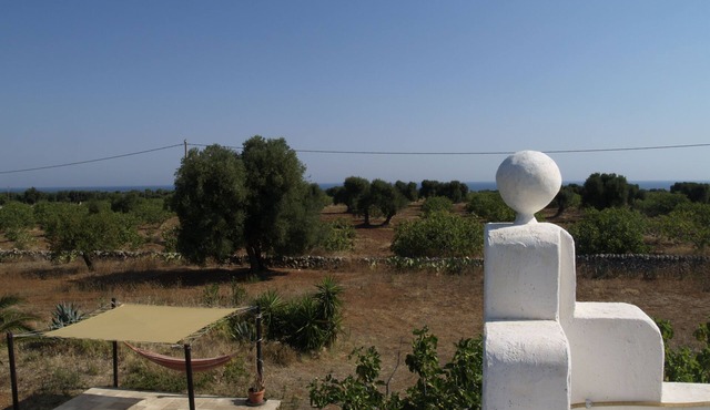 panoramic tower with 2km. beaches coastal dunes park