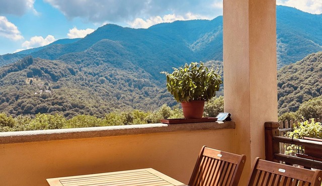 Panoramic two-story dwelling with private garden, surrounded by green woods.