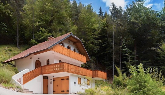 Panoramic Views All Year Round in All Seasons - Edge of Ski Resort Kranjska Gora