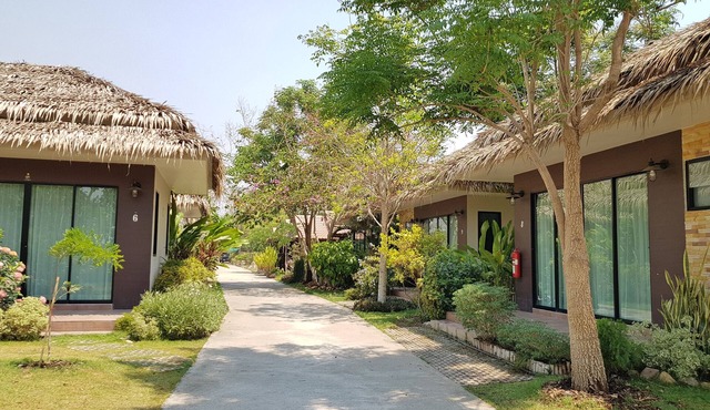 Papa's Home and Rabbit cafe
