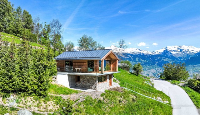 Papillon by Interhome