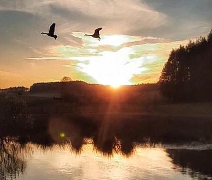 "Par-Celle Au Bord de l'Eau" pour une journée détente