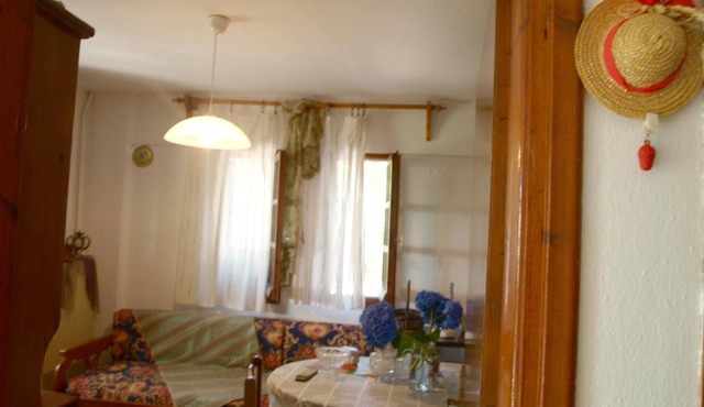 Paradeisos Studio with Garden View