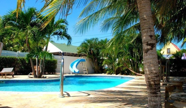 Paradera Paradise