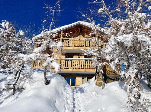 Paradis Perdu SKI IN & QUIET chalet 14 personnes