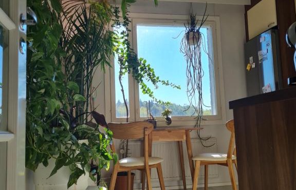 Paradise apartment