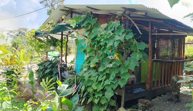 Paradise cabin