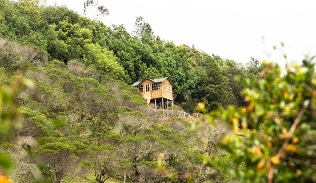 Paradise Glamping