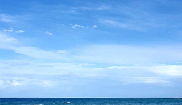 PARADISE IS HERE: sea, sun, nature, food, relax & ART