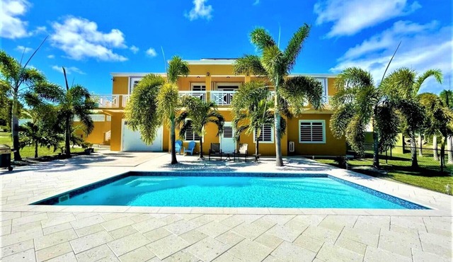 Paradise Palms!