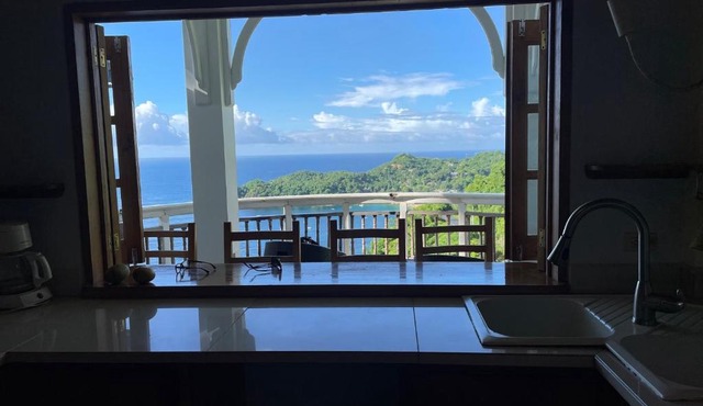 Paradise Point Villa