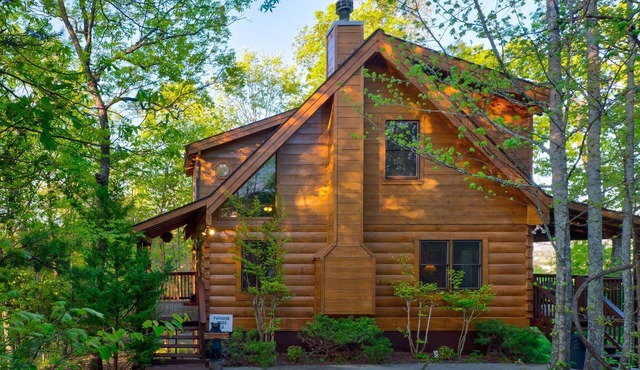 Paradise Ridge Log Cabin. Spectacular Mountain and City View of Pigeon Forge