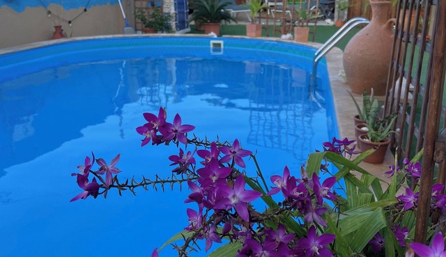 Paradise tranquility with private pool starts with this vacation rental in Aruba