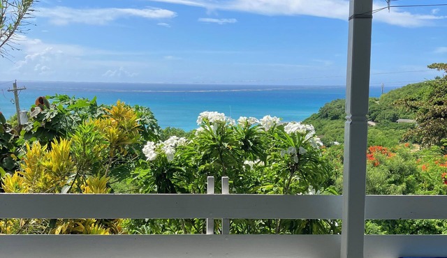 Paradise View - Stunning views near Dickenson Bay Beach in Antigua & Barbuda