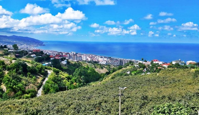 Paradise Villa Trabzon