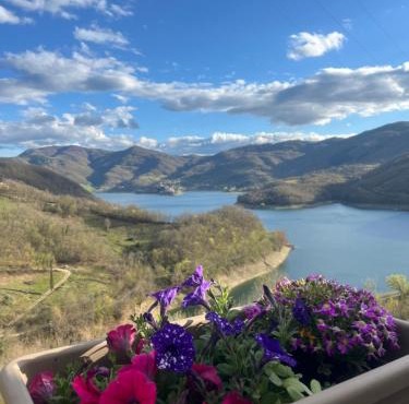 Paradiso sul lago