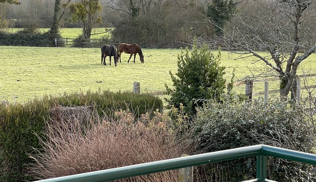 Parc du PERCHE Orne -maison indépendante 4 personnes au cœur d'un village vivant