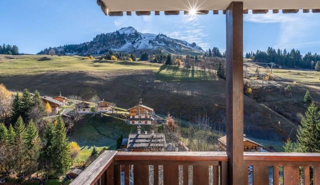 Paret : En coeur de village à 200 m des pistes.