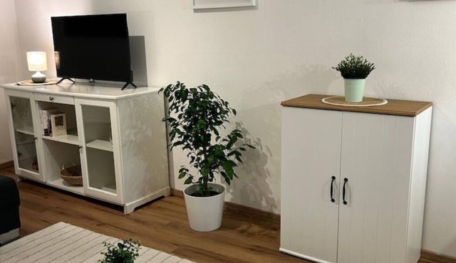 Paris" apartment