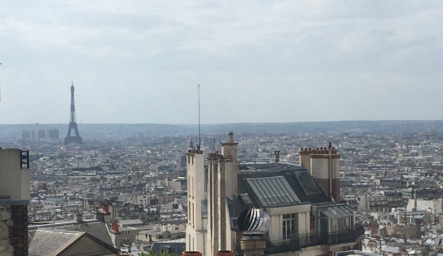 Paris Hilltop Montmartre, Artist Loft, breathtaking views, piano, yoga space.