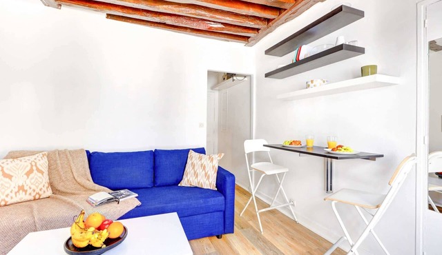 Parisian Studio Near Les Halles & Marais