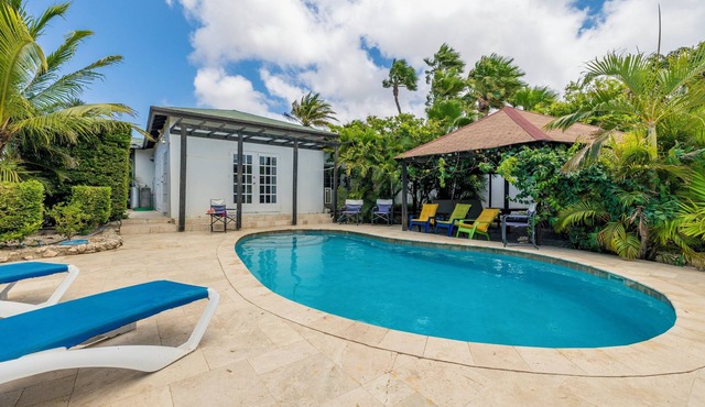 Parrot Villa - Stunning vacation home near Eagle Beach
