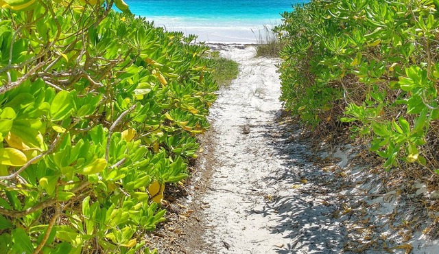 Parrots Perch Beach Cottage - charming tropical island living w/ modern comforts