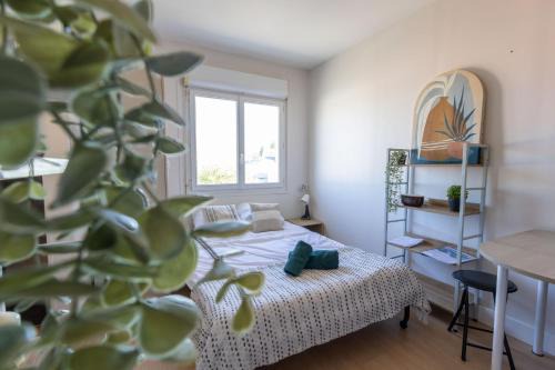 Passerelle Studio cosy proche gare