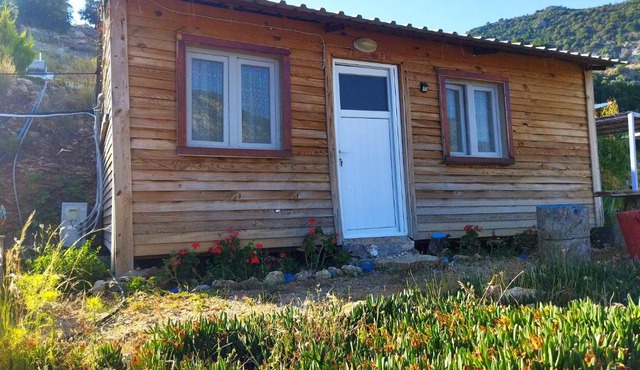 Pavlonya Bungalows
