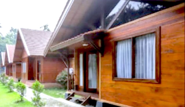 PAVO RESORT