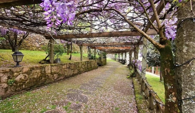 Pazo de Adrán
