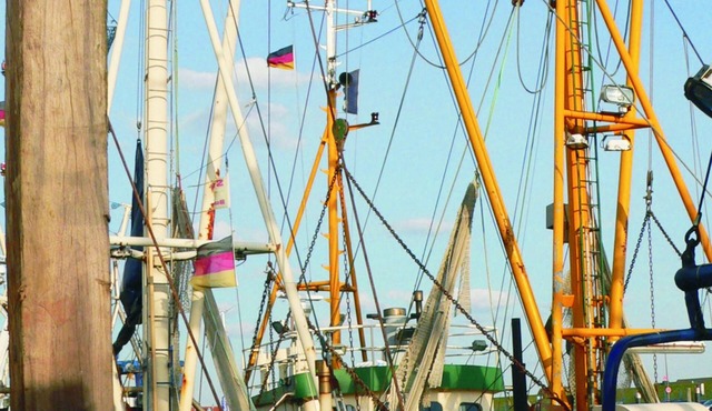 Peace and relaxation in healthy North Sea air - family-friendly - Fewo MARINA
